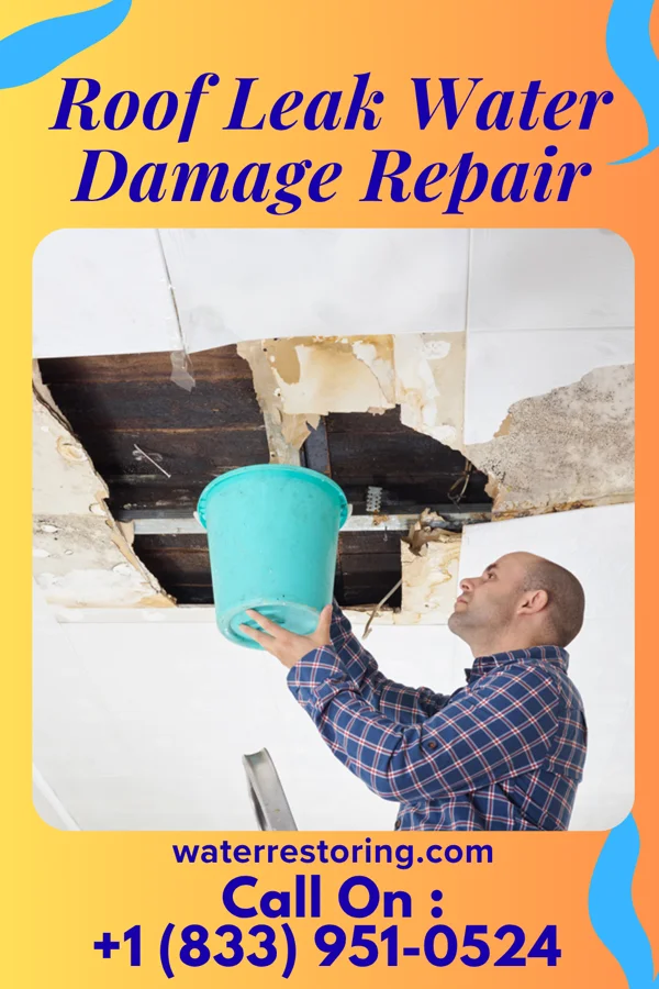 Roof Leak Water Damage Repair in Elkton, MI