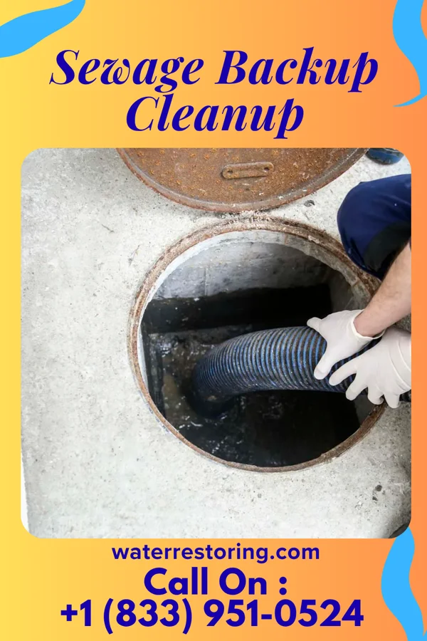 Sewage Backup Cleanup in Elkton, MI