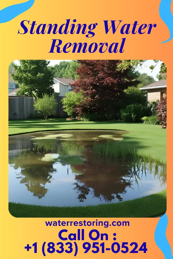Standing Water Removal in Elkton, MI